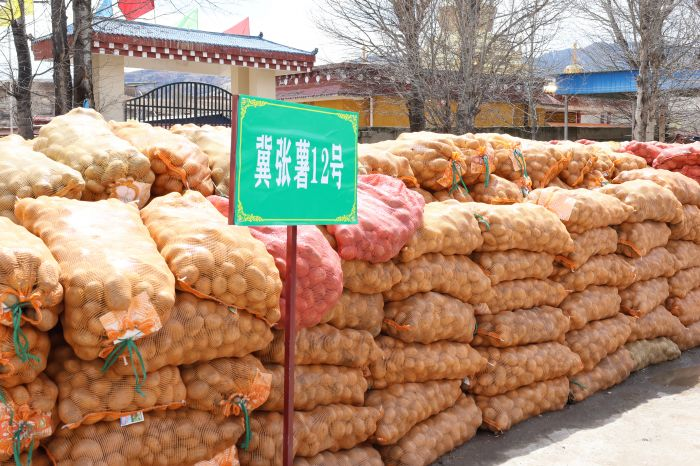 乡镇农资产品展示