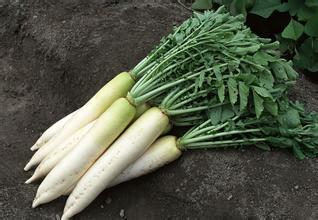 铜陵萝卜