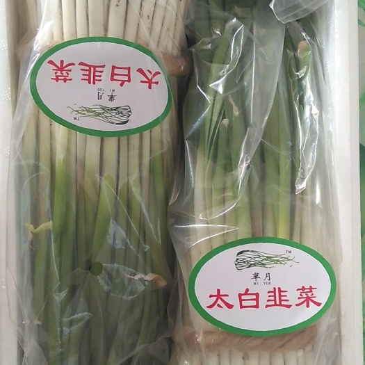 昌乐太白韭菜